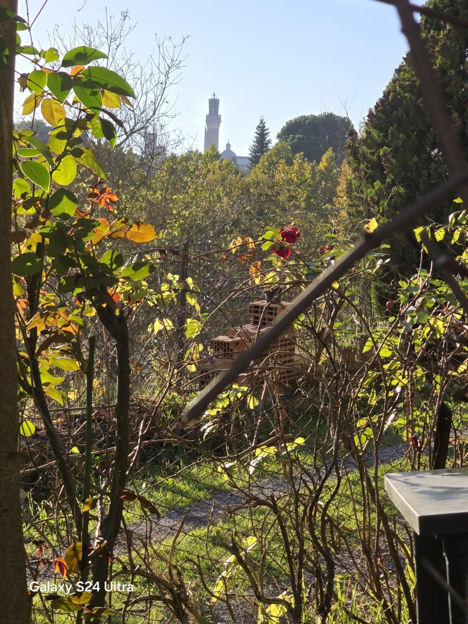 Podere Ponticini 锡耶纳 外观 照片