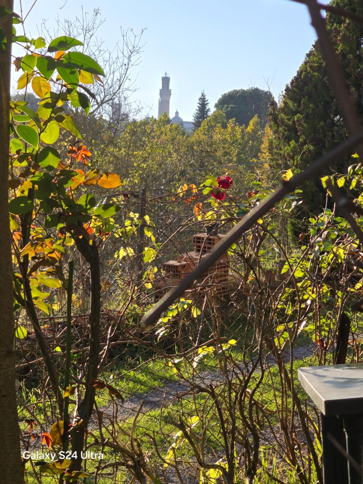 Podere Ponticini 锡耶纳 外观 照片